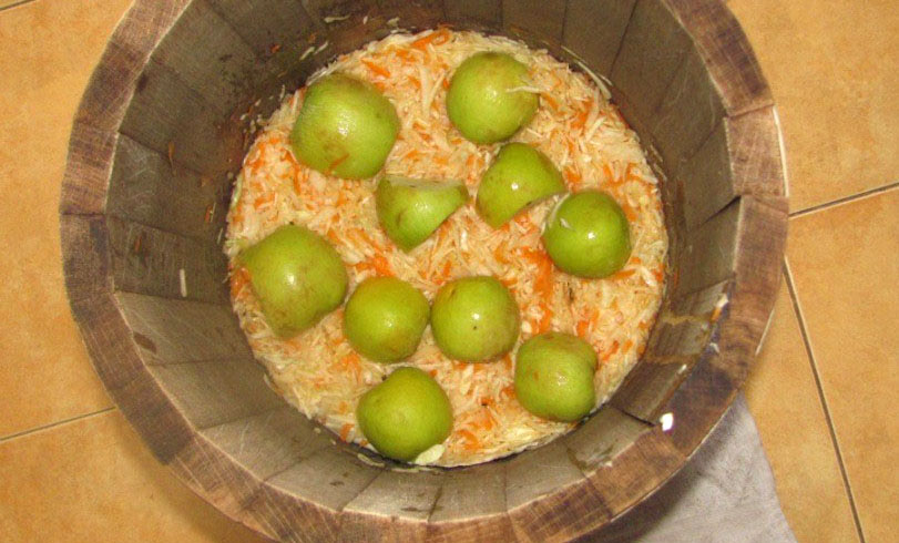 квашеная капуста в кадке с зелеными яблоками