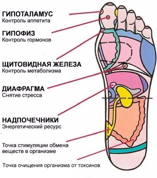 Массаж на массажном столе