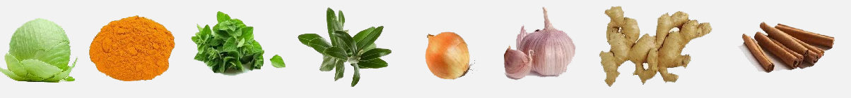 Натуральные природные антибиотики — где взять?