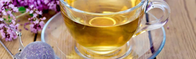 Польза душицы для здоровья. Лекарство от всех болезней