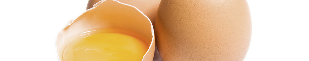 Холестерин в яйцах. Польза или вред?