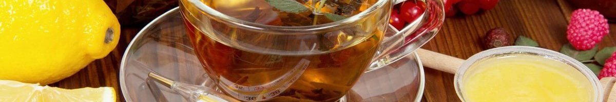 Фитотерапия: лечение простуды народными средствами