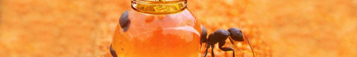 Лечение боли в коленях: рецепт с севера