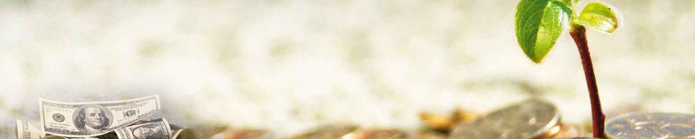 Инвестирование в акции по Кримсону. Выбор стратегии и риск-менеджмент