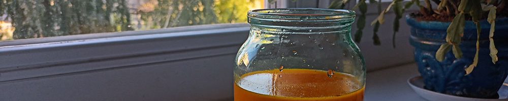 Облепиховая настойка — как я добыл жидкое золото